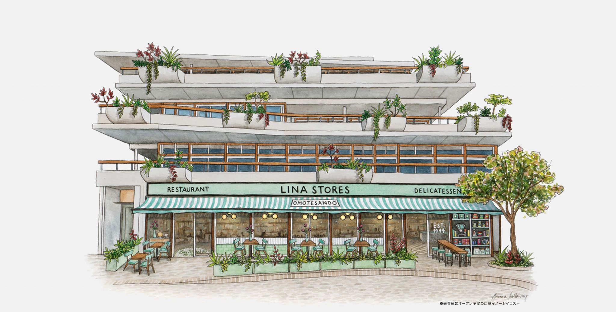 LINA STORES OMOTESANDO